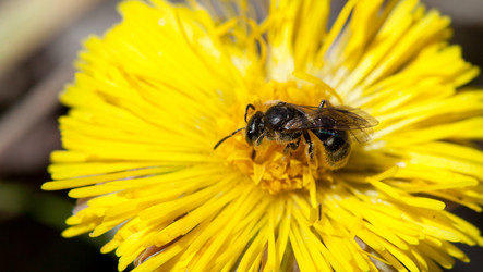 Similar image 638281