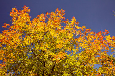 Similar image 638284