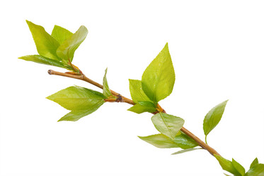 Similar image 638288