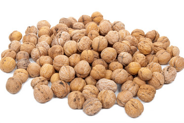 Similar image 638295