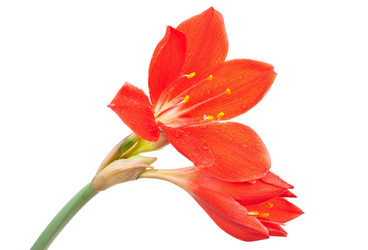 Similar image 638305