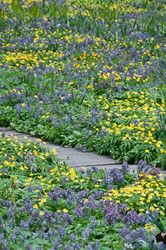 Similar image 638328