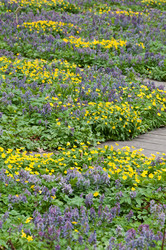 Similar image 638329