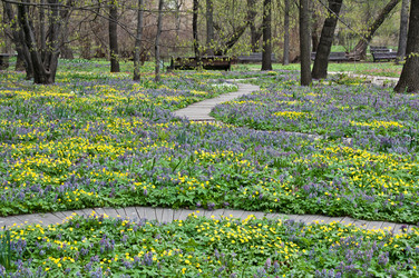 Similar image 638330