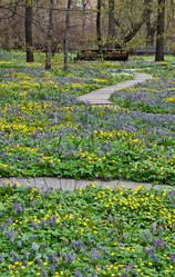 Similar image 638332