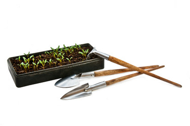 Similar image 638345