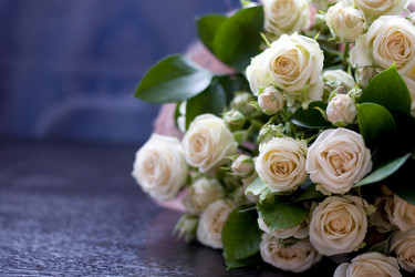 Similar image 638346