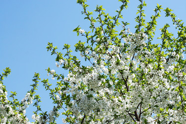 Similar image 638351