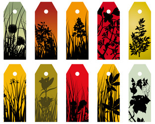 Similar image 638353