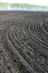 Similar image 638358