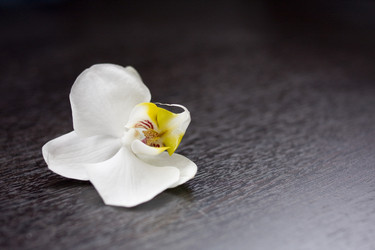 Similar image 638371