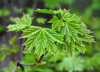 Similar image 638391