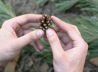 Similar image 638414