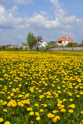 Similar image 638421