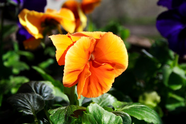 Similar image 638489