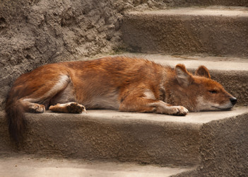 Similar image 638491