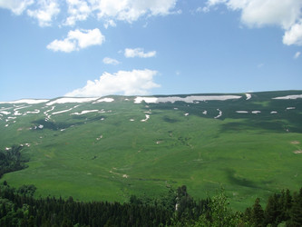 Similar image 638502