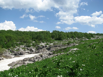 Similar image 638503