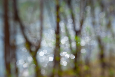 Similar image 638515