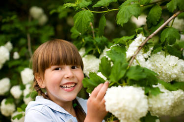 Similar image 638520