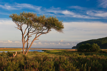 Similar image 638542