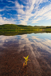 Similar image 638543