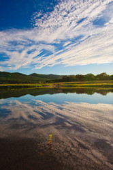 Similar image 638545