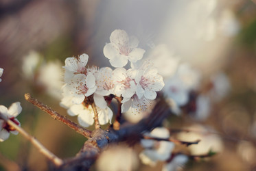 Similar image 638550