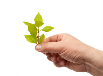 Similar image 638562