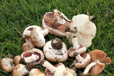 Similar image 638586