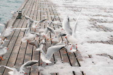 Similar image 638593