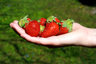 Similar image 638611