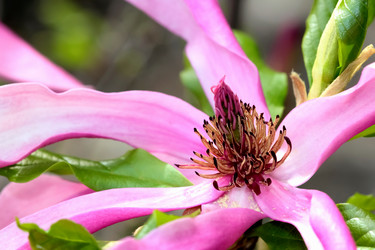 Similar image 638631