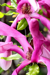 Similar image 638632