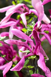 Similar image 638634