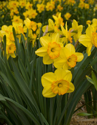 Similar image 638636