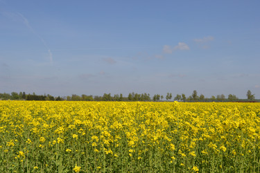 Similar image 638657