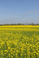 Similar image 638658