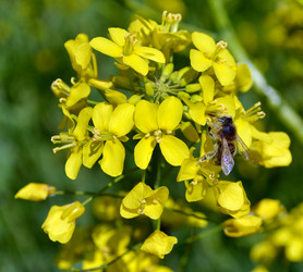 Similar image 638659