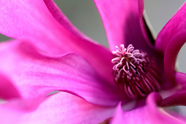 Similar image 638661