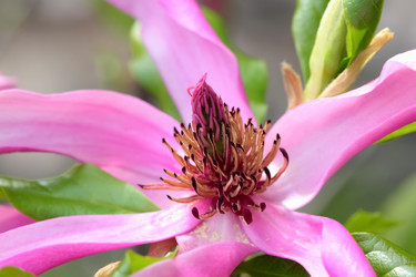 Similar image 638662