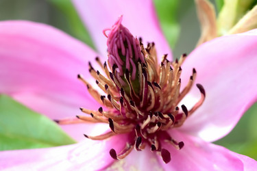 Similar image 638663