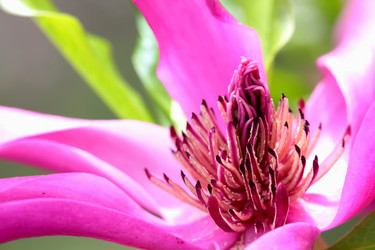 Similar image 638664