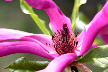 Similar image 638665