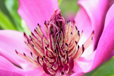 Similar image 638667