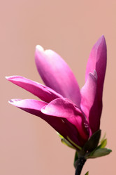 Similar image 638671