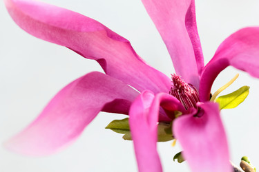 Similar image 638673