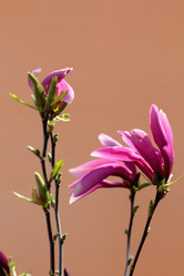 Similar image 638677