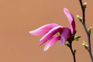 Similar image 638679