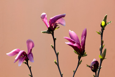 Similar image 638680